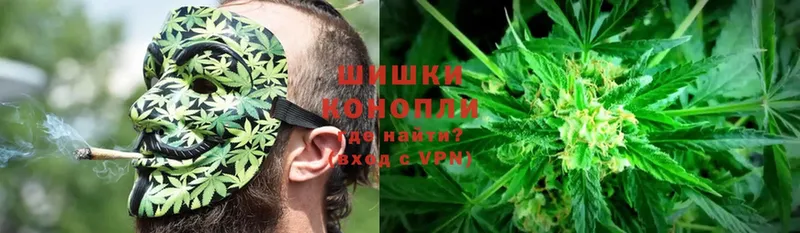 Бошки марихуана OG Kush  наркотики  Пыталово 